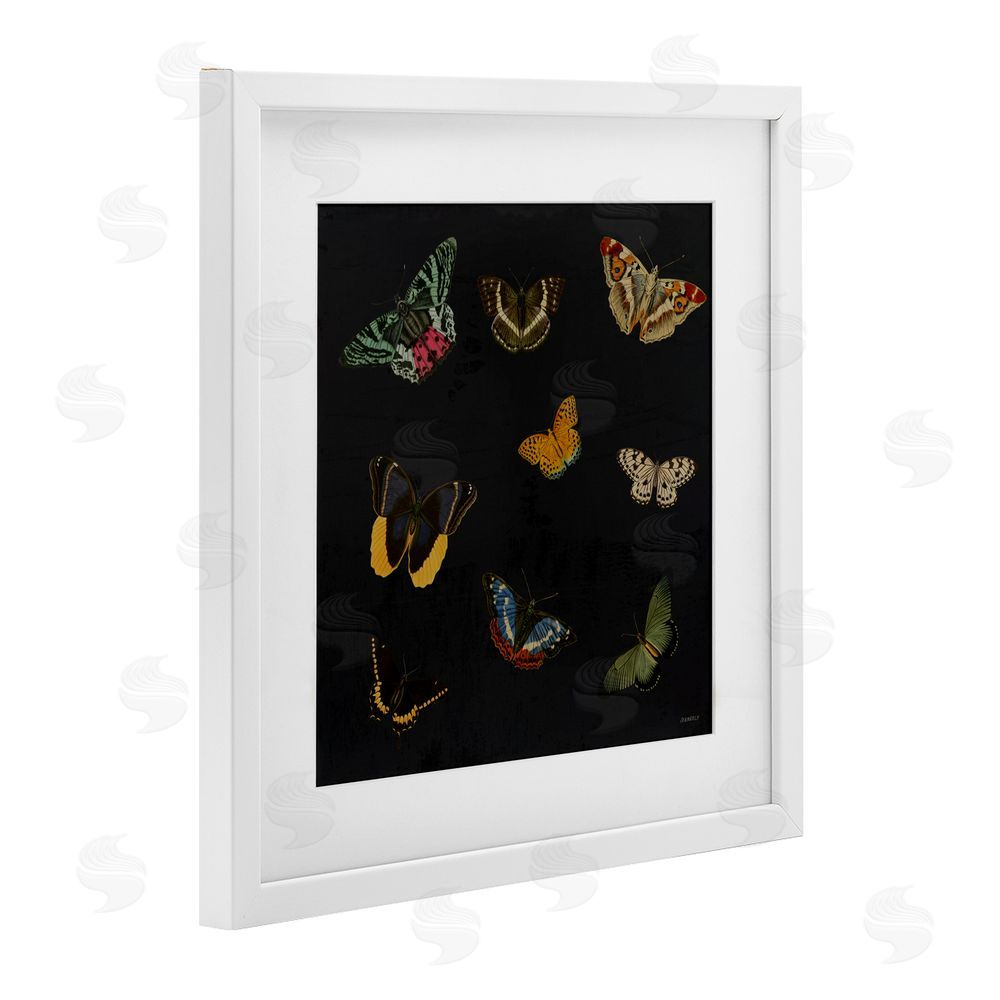 Sundance Graphics Butterfly & Moth Collection White Framed Print Under Glass Wall Art