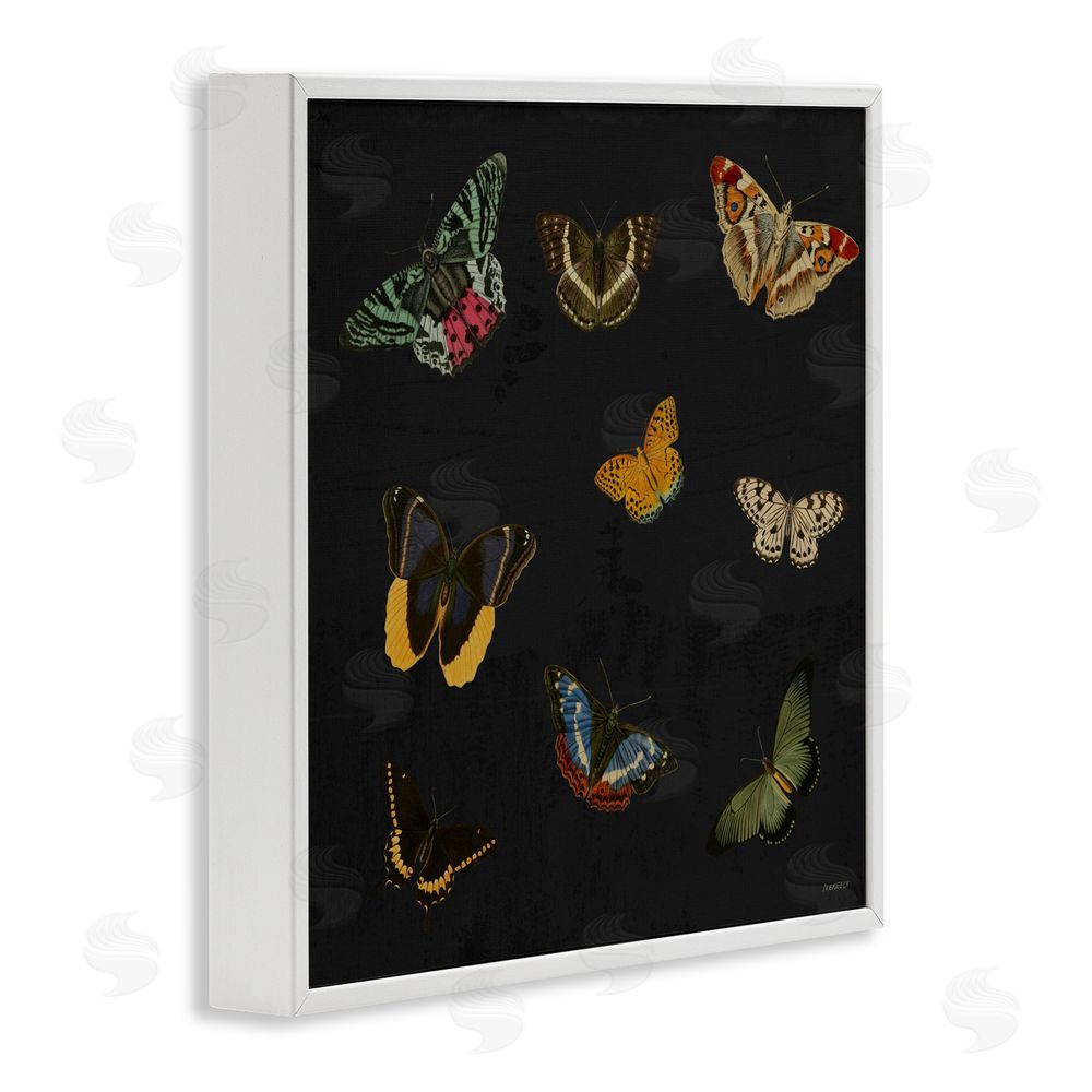 Sundance Graphics Butterfly & Moth Collection White Framed Giclee Wall Art Print