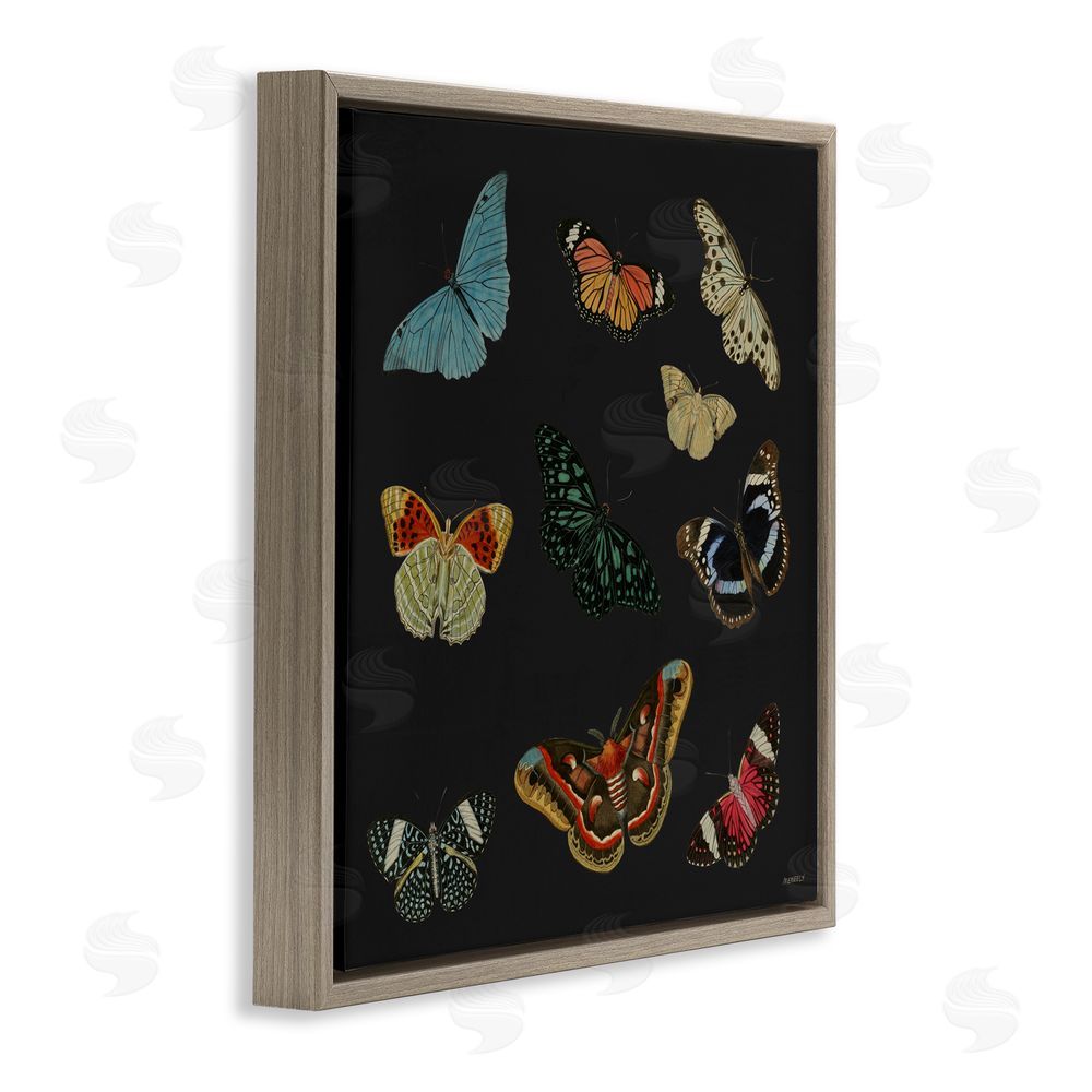 Sundance Graphics Insects Group on Black Brown Floating Frame Canvas Wall Art Print