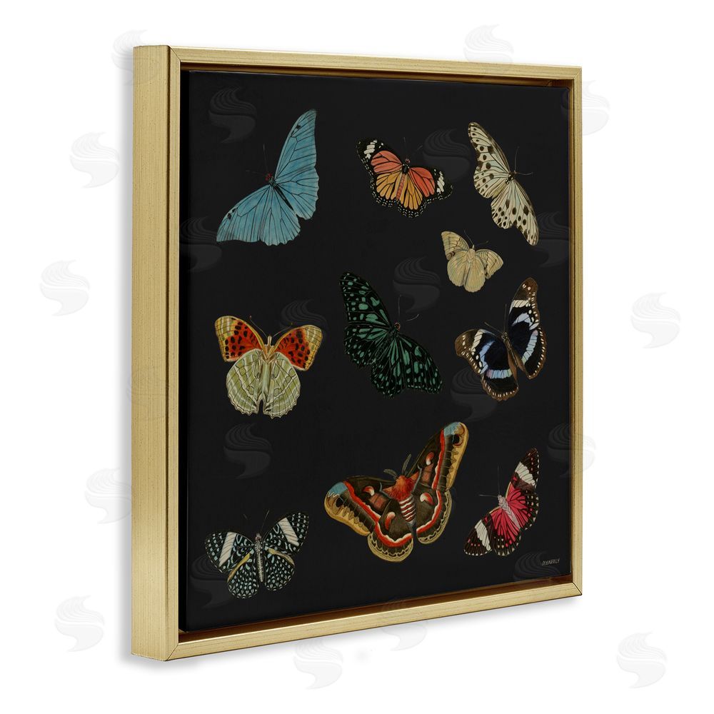 Sundance Graphics Insects Group on Black Gold Floating Frame Canvas Wall Art Print