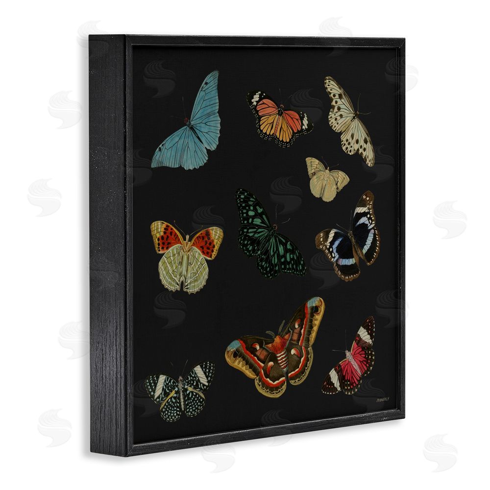 Sundance Graphics Insects Group on Black Black Framed Giclee Wall Art Print