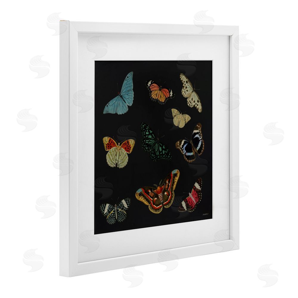 Sundance Graphics Insects Group on Black White Framed Print Under Glass Wall Art
