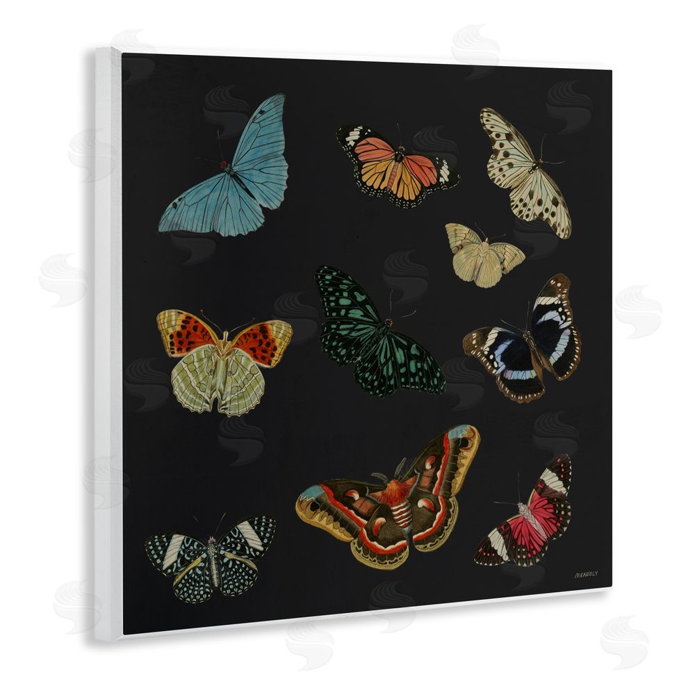 Sundance Graphics Insects Group on Black Wall Plaque Printed Art