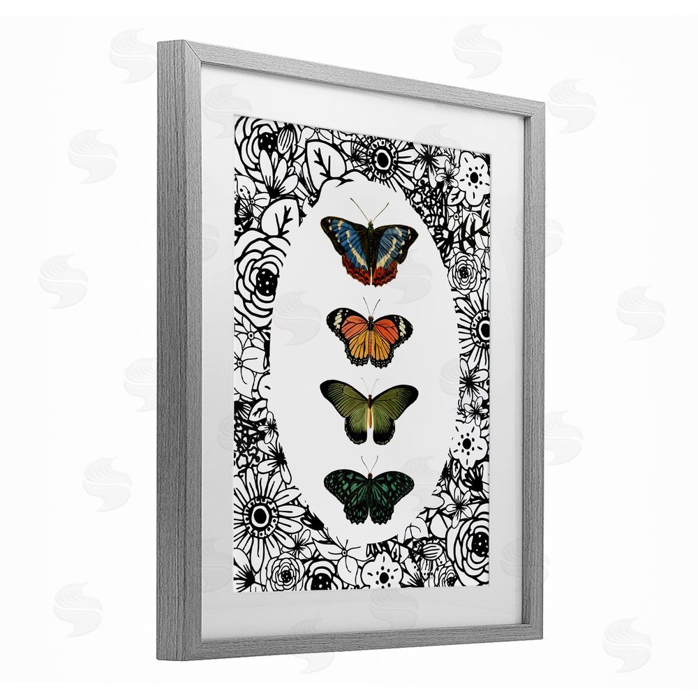 Sundance Graphics Floral Border Butterfly Lineup Gray Framed Print Under Glass Wall Art