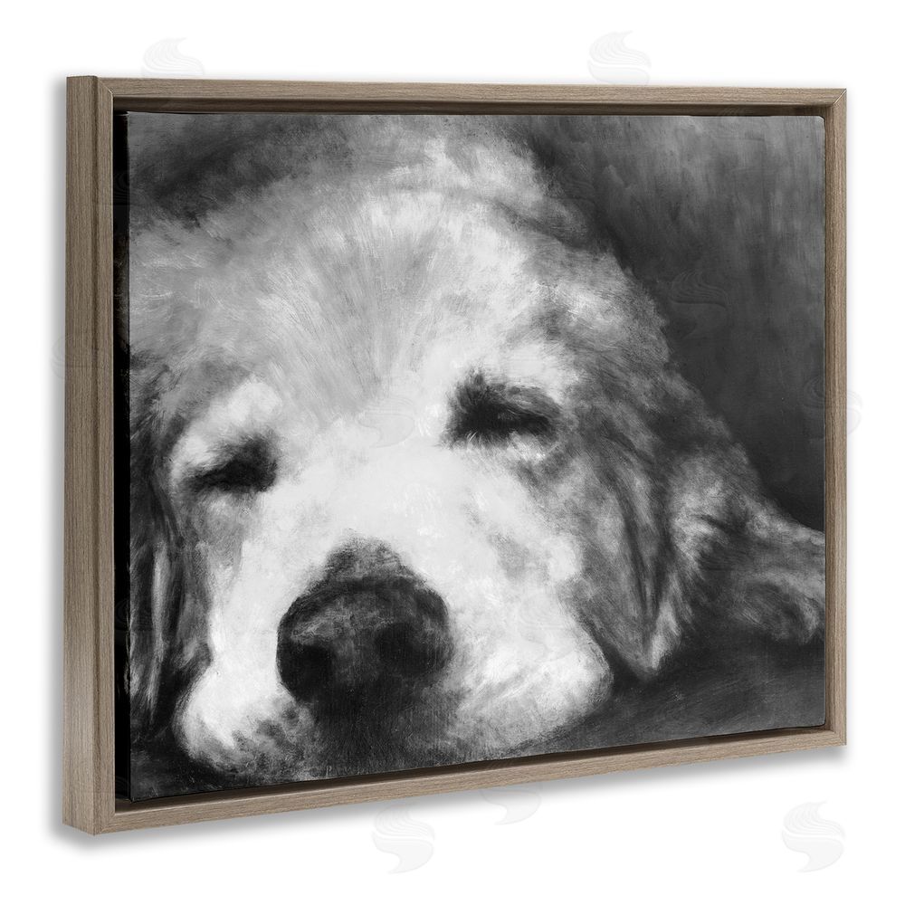 Sundance Graphics Monochrome Dog Day Afternoon Brown Floating Frame Canvas Wall Art Print