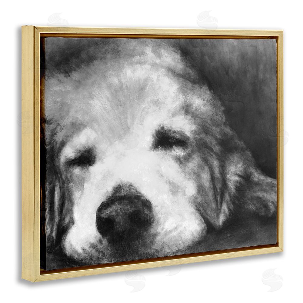 Sundance Graphics Monochrome Dog Day Afternoon Gold Floating Frame Canvas Wall Art Print