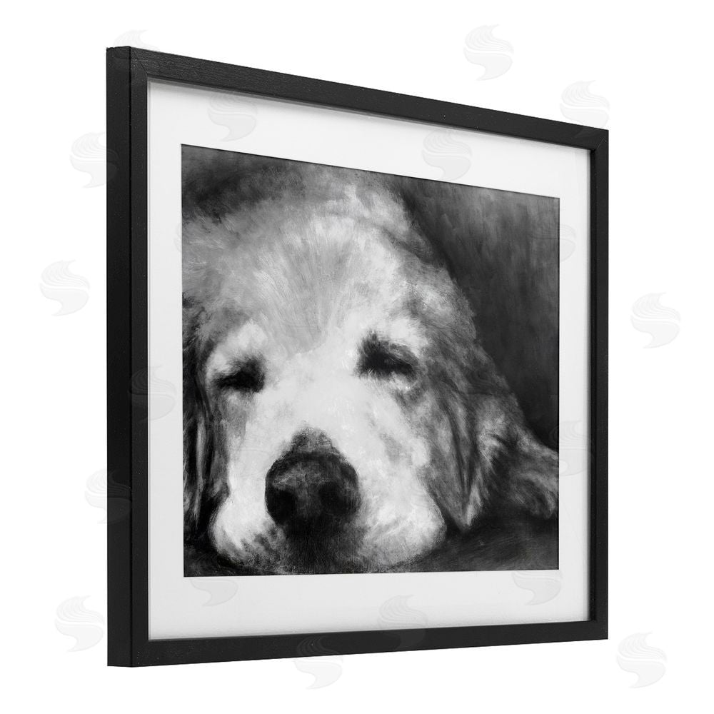 Sundance Graphics Monochrome Dog Day Afternoon Black Framed Print Under Glass Wall Art