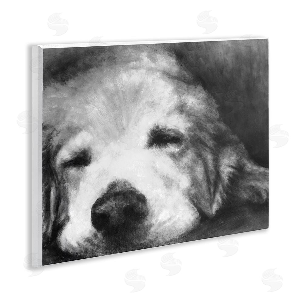 Sundance Graphics Monochrome Dog Day Afternoon Wall Plaque Printed Art