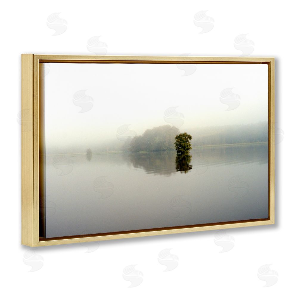 Sundance Graphics Misty Lake Reflection Gold Floating Frame Canvas Wall Art Print