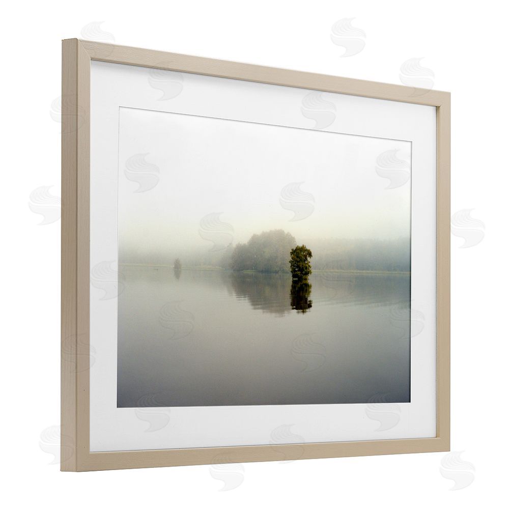 Sundance Graphics Misty Lake Reflection Birch Framed Print Under Glass Wall Art
