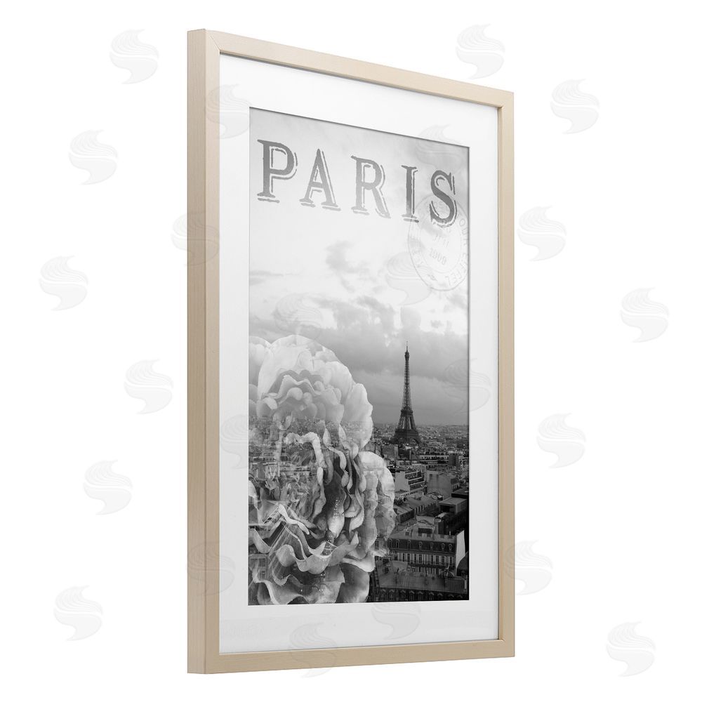 Emily Navas Paris Postcard in Monochrome Birch Framed Print Under Glass Wall Art