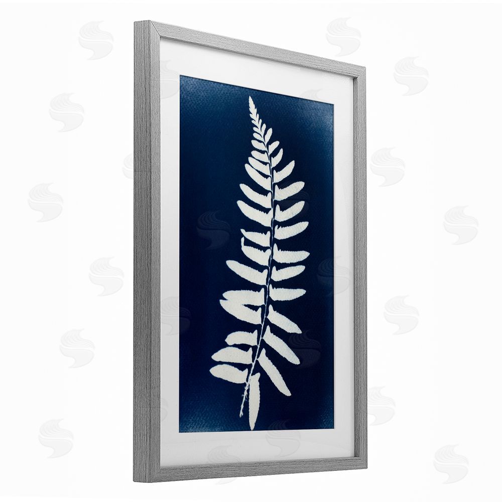 Lynn Byrd Fern Leaf on Indigo Gray Framed Print Under Glass with Mat Wall Art
