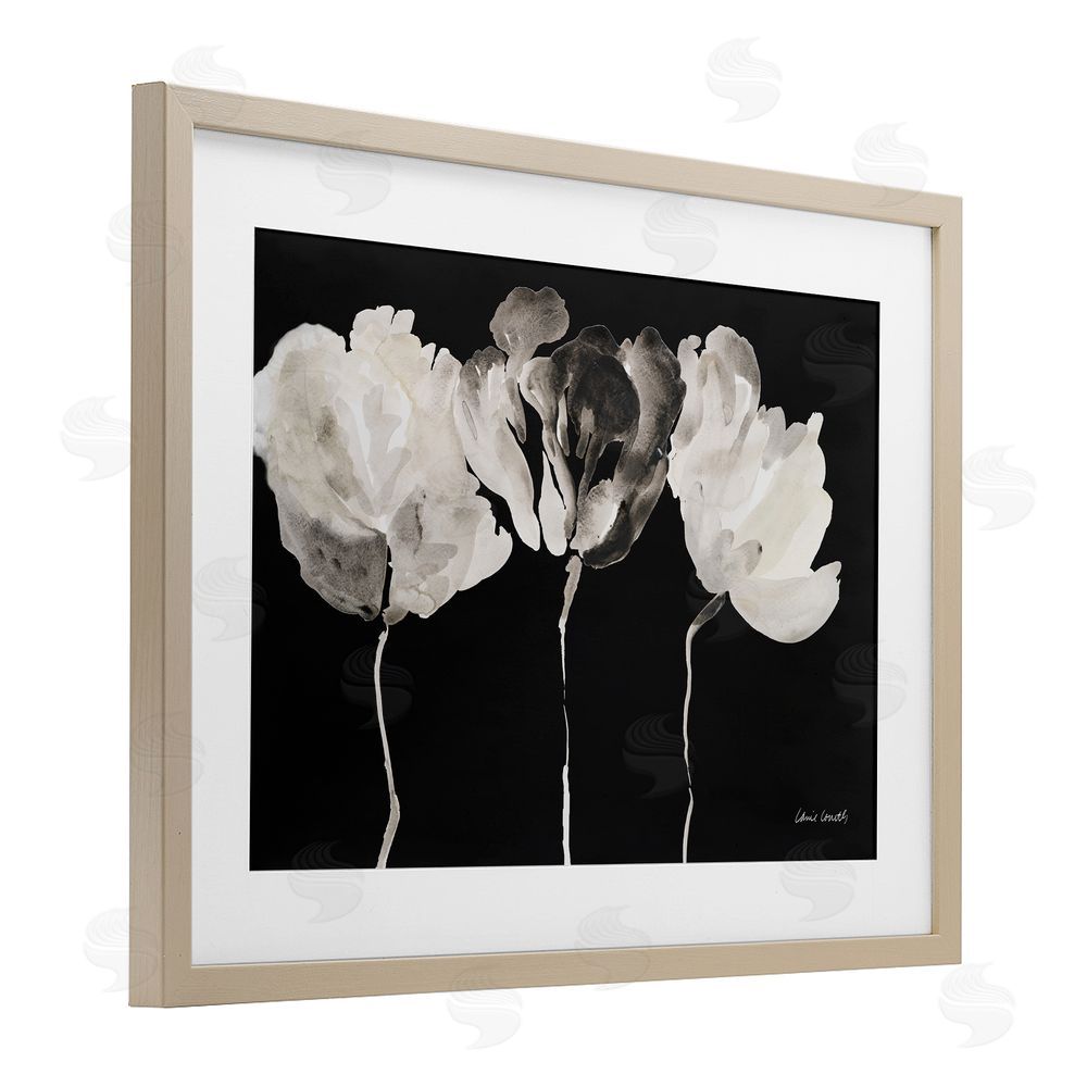 Lanie Loreth Trio In Light On Black Birch Framed Print Under Glass Wall Art