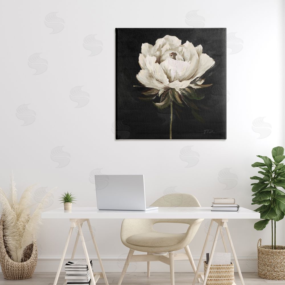 Patricia Pinto Pretty Delicate Bloom on Black Stretched Canvas Wall Art in Room