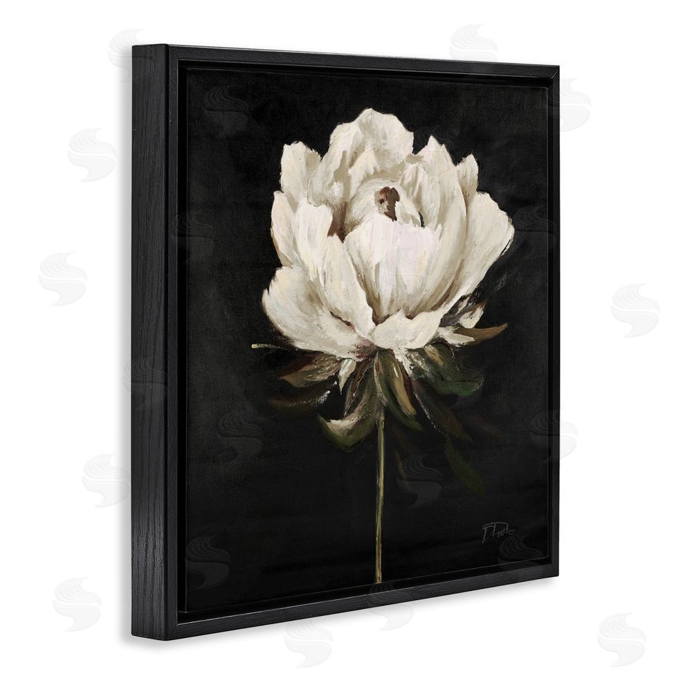 Patricia Pinto Pretty Delicate Bloom on Black Black Floating Frame Canvas Wall Art Print