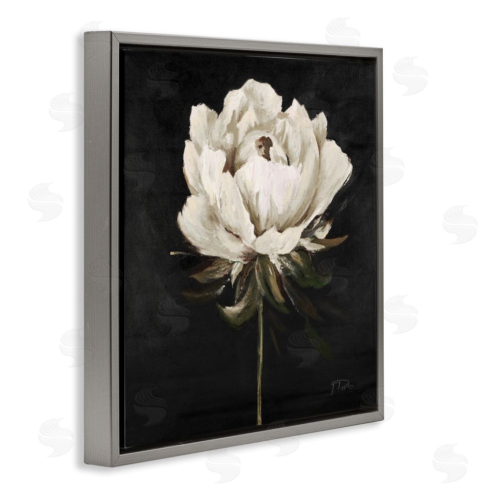 Patricia Pinto Pretty Delicate Bloom on Black Gray Floating Frame Canvas Wall Art Print