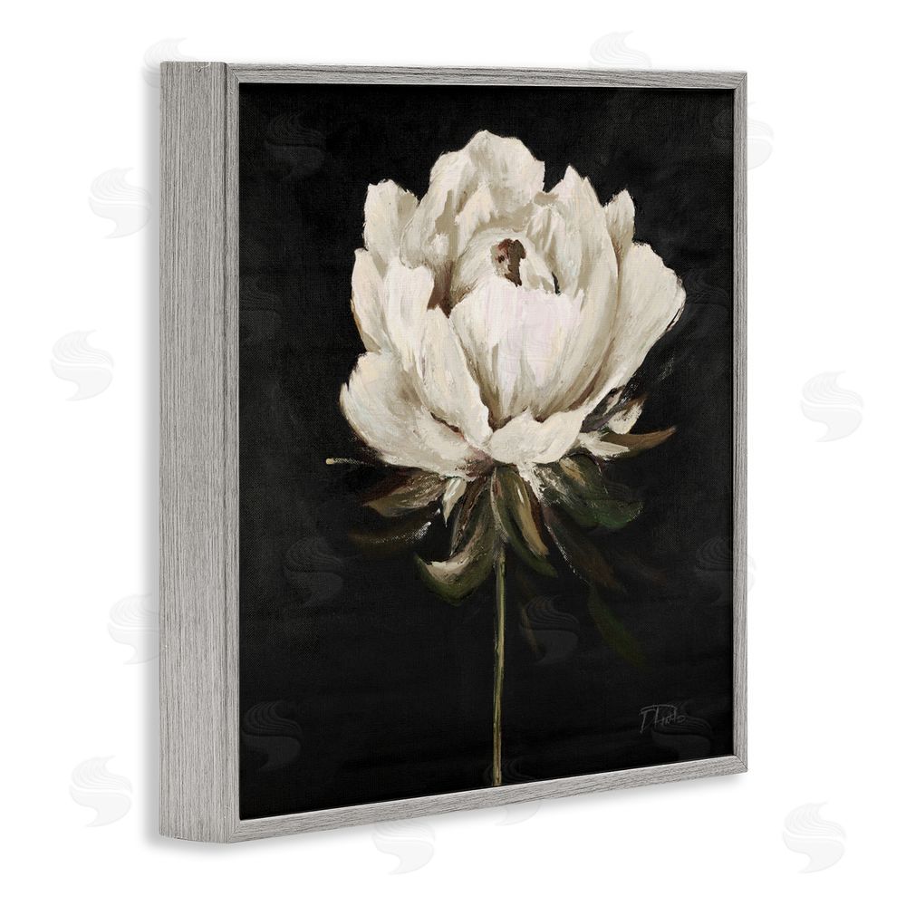 Patricia Pinto Pretty Delicate Bloom on Black Gray Framed Giclee Wall Art Print