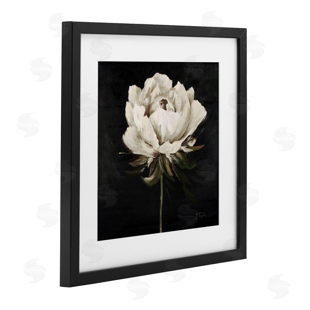 Patricia Pinto Pretty Delicate Bloom on Black Black Framed Print Under Glass Wall Art