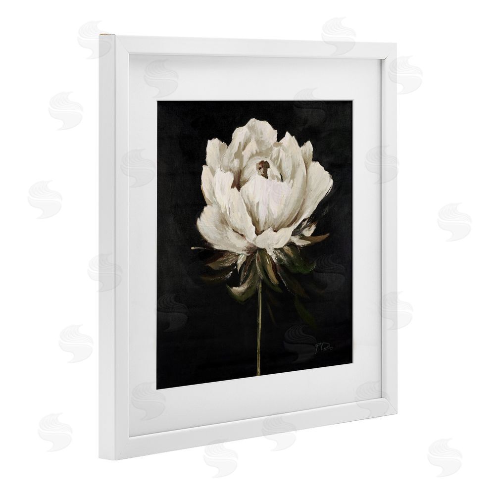 Patricia Pinto Pretty Delicate Bloom on Black White Framed Print Under Glass Wall Art