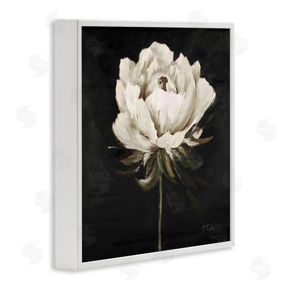 Patricia Pinto Pretty Delicate Bloom on Black White Framed Giclee Wall Art Print