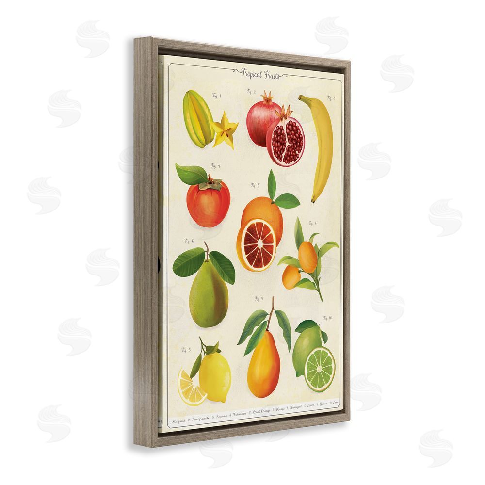 Diane Neukirch Vintage Tropical Fruit Studies Brown Floating Framed Canvas Wall Art Print