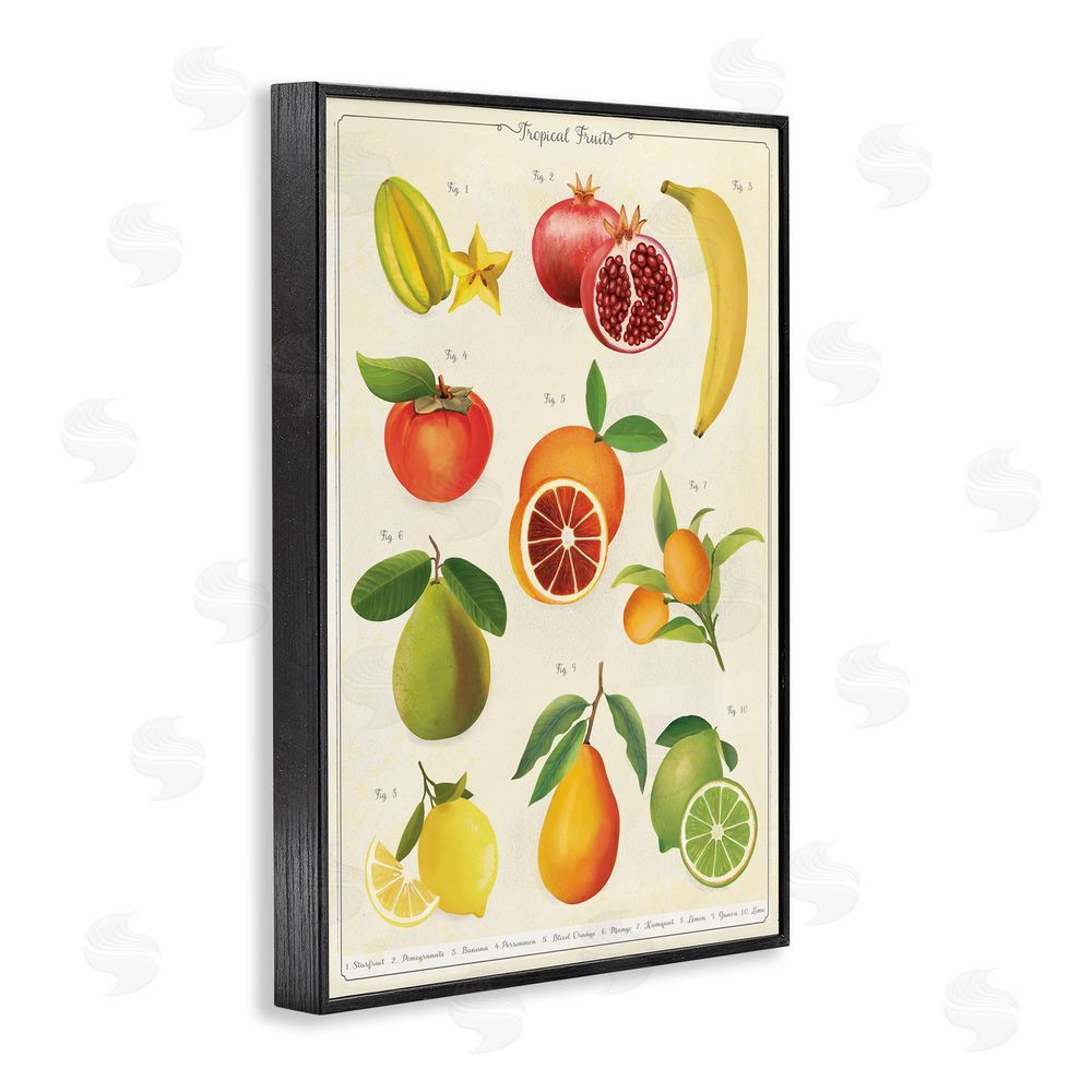 Diane Neukirch Vintage Tropical Fruit Studies Black Framed Giclee Wall Art Print