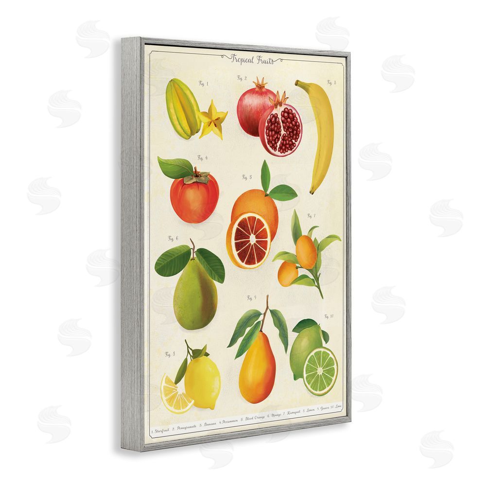 Diane Neukirch Vintage Tropical Fruit Studies Gray Framed Giclee Wall Art Print