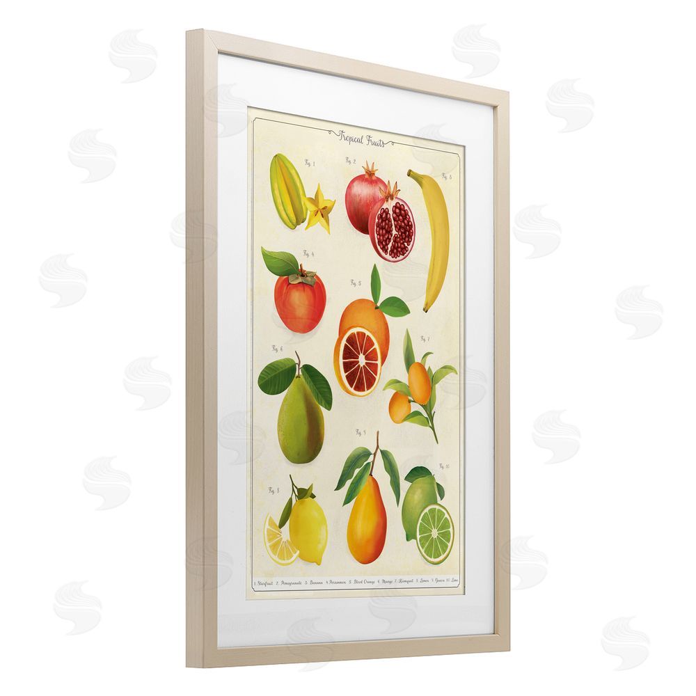 Diane Neukirch Vintage Tropical Fruit Studies Brown Framed Print Under Glass with White Mat Wall Art