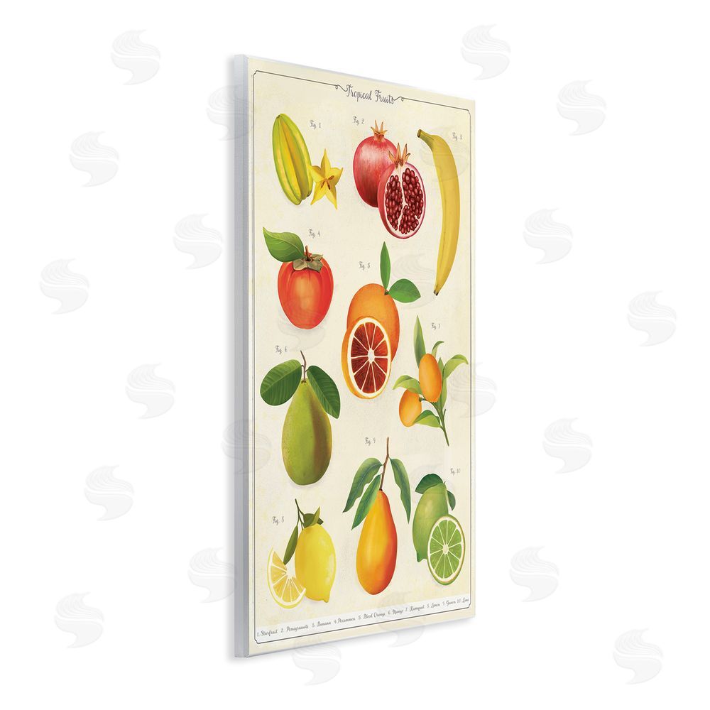 Diane Neukirch Vintage Tropical Fruit Studies Wall Plaque Printed Art