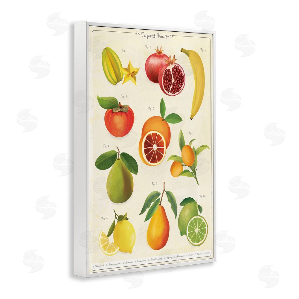 Diane Neukirch Vintage Tropical Fruit Studies White Framed Giclee Wall Art Print