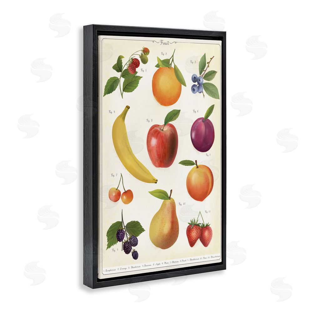 Diane Neukirch Fruit Collection Studies Black Floating Framed Canvas Wall Art
