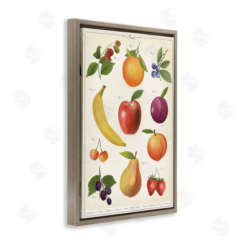 Diane Neukirch Fruit Collection Studies Brown Floating Framed Canvas Wall Art