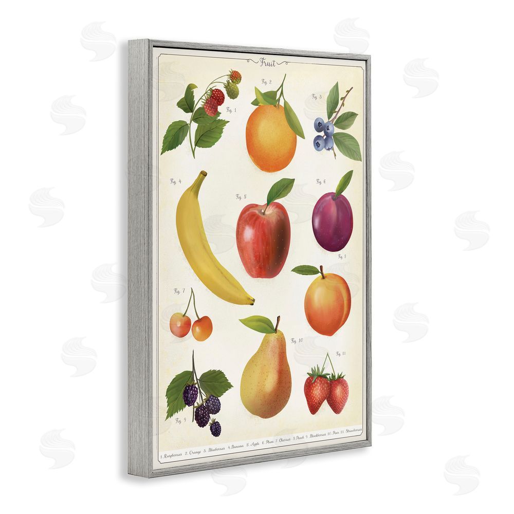 Diane Neukirch Fruit Collection Studies Gray Framed Giclee Wall Art