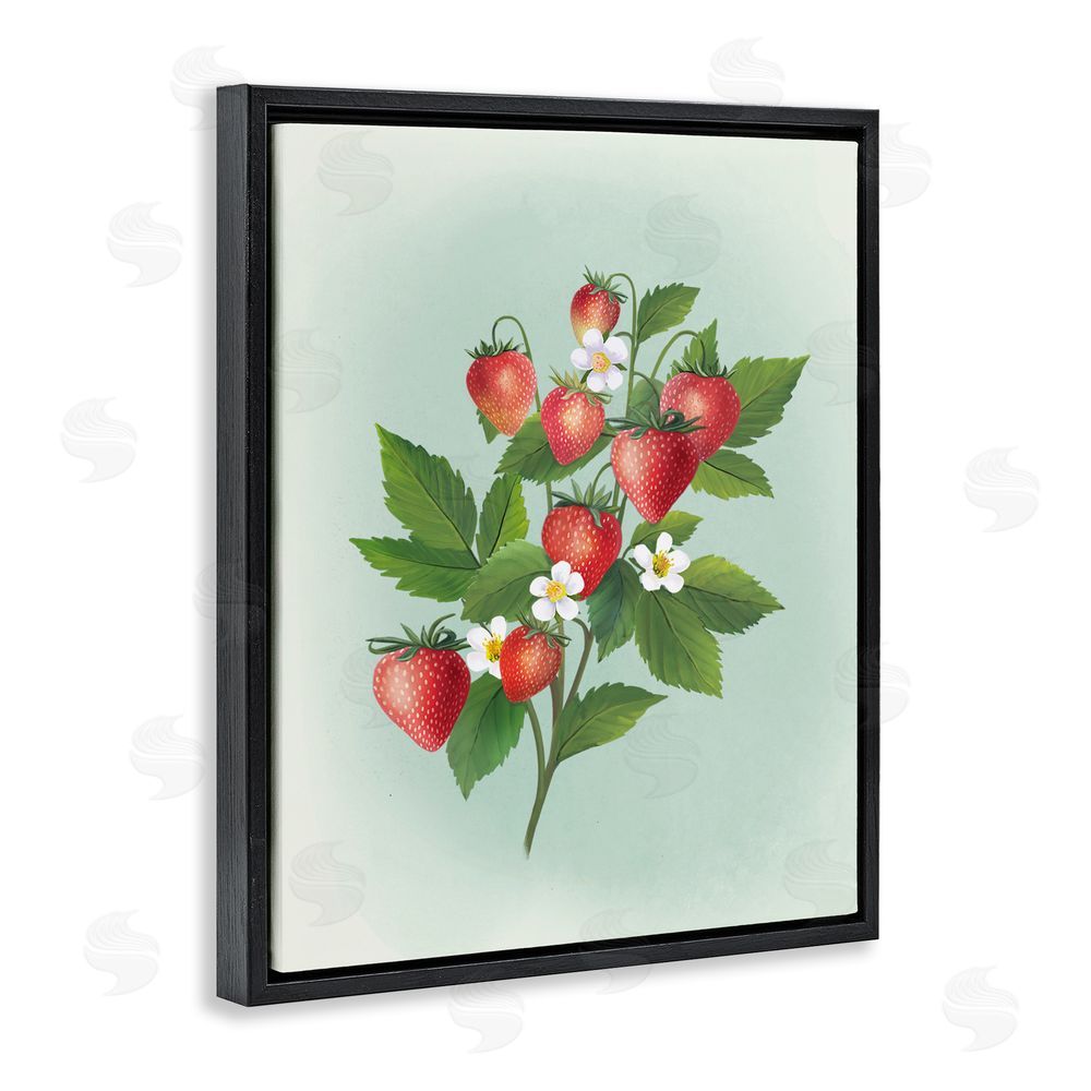 Diane Neukirch Vintage Strawberry Bundle Black Floating Framed Canvas Wall Art Print