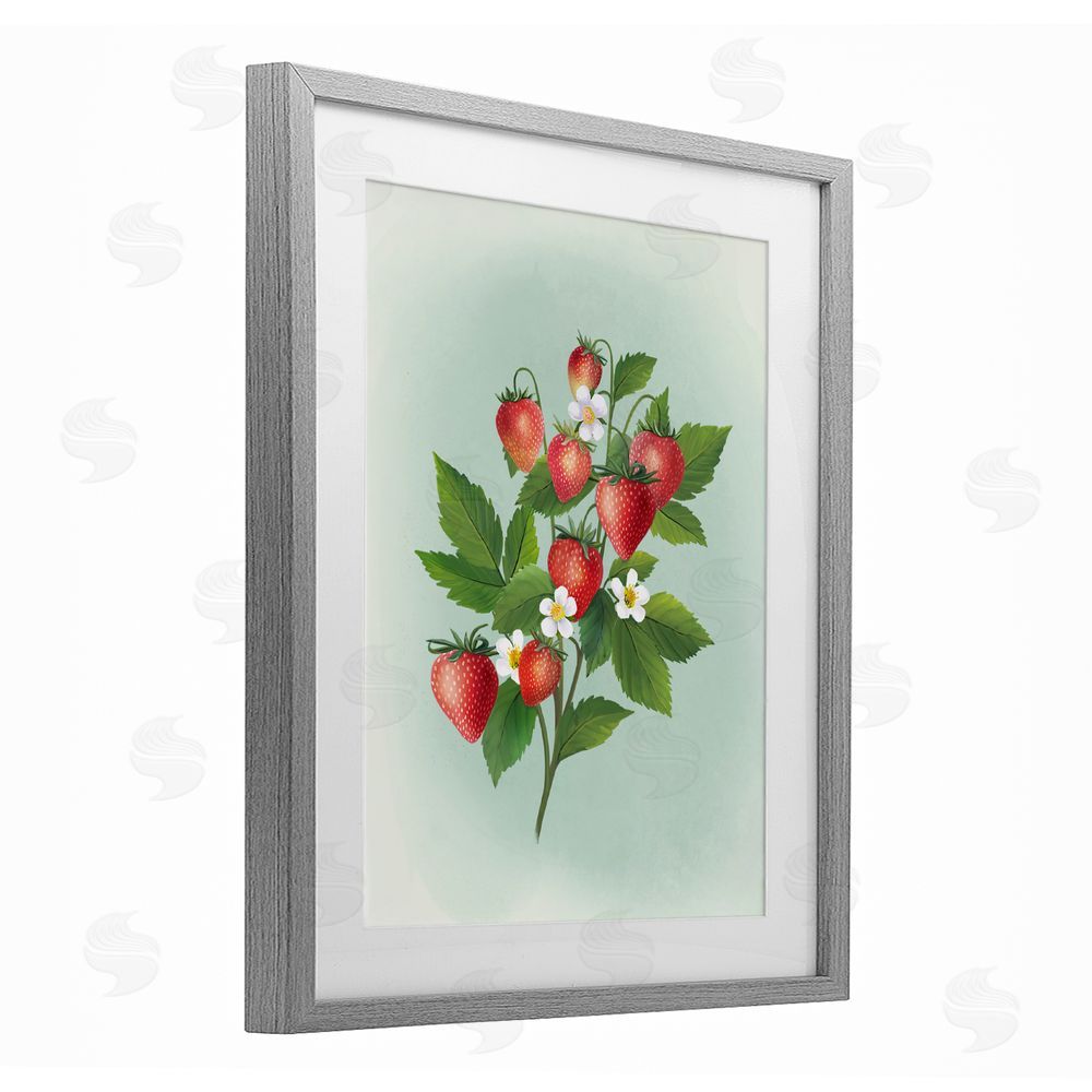 Diane Neukirch Vintage Strawberry Bundle Gray Framed Print Under Glass with White Mat Wall Art