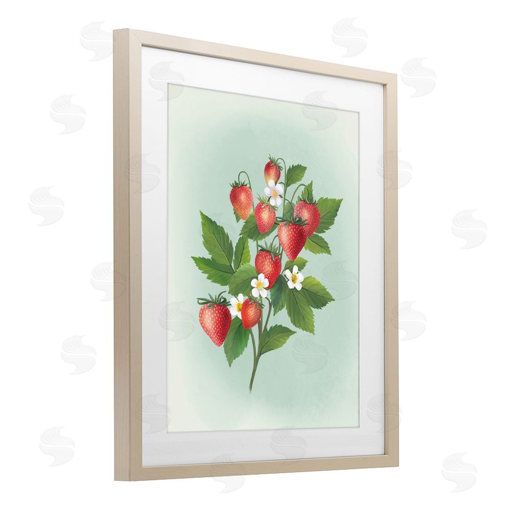 Diane Neukirch Vintage Strawberry Bundle Brown Framed Print Under Glass with White Mat Wall Art