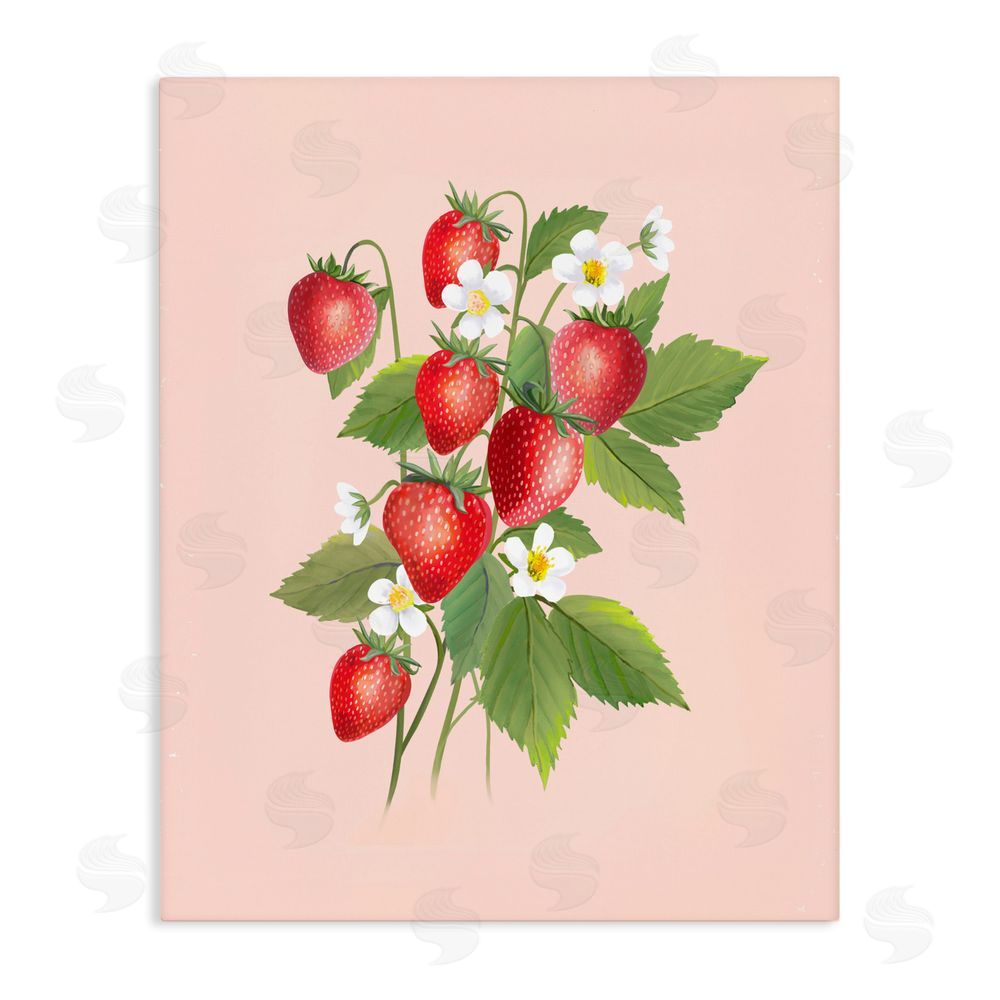 Diane Neukirch Cottage Garden Strawberries Stretched Canvas Wall Art