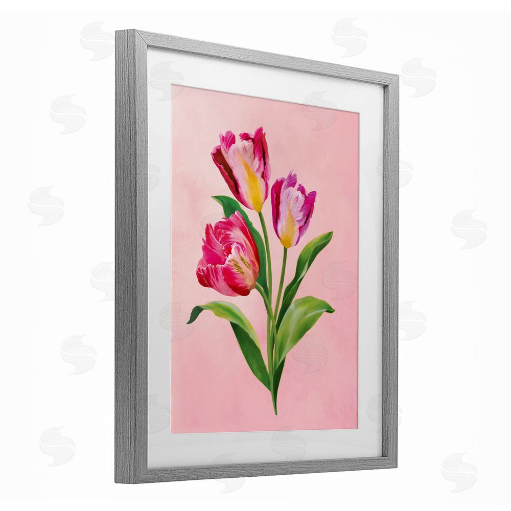 Diane Neukirch Vibrant Magenta Tulips Gray Framed Print Under Glass with White Mat Wall Art