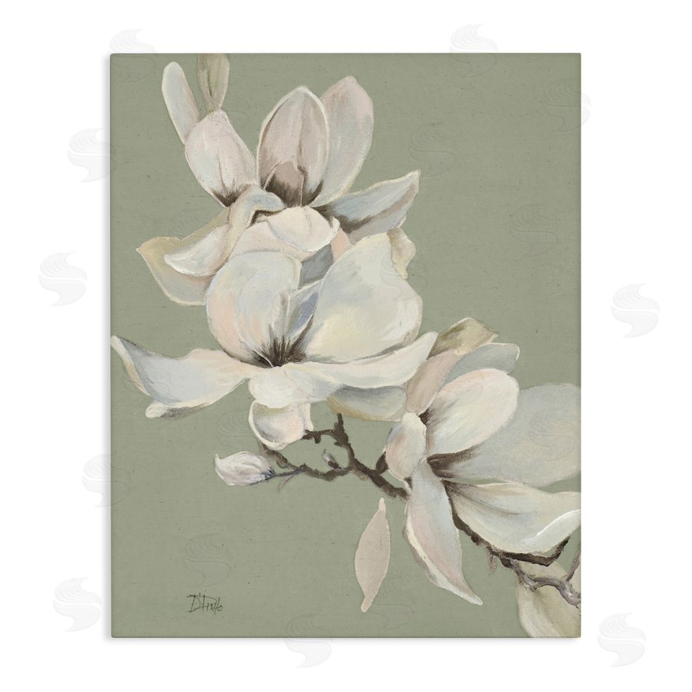 Patricia Pinto Magnolias on Sage Florals Stretched Canvas Wall Art