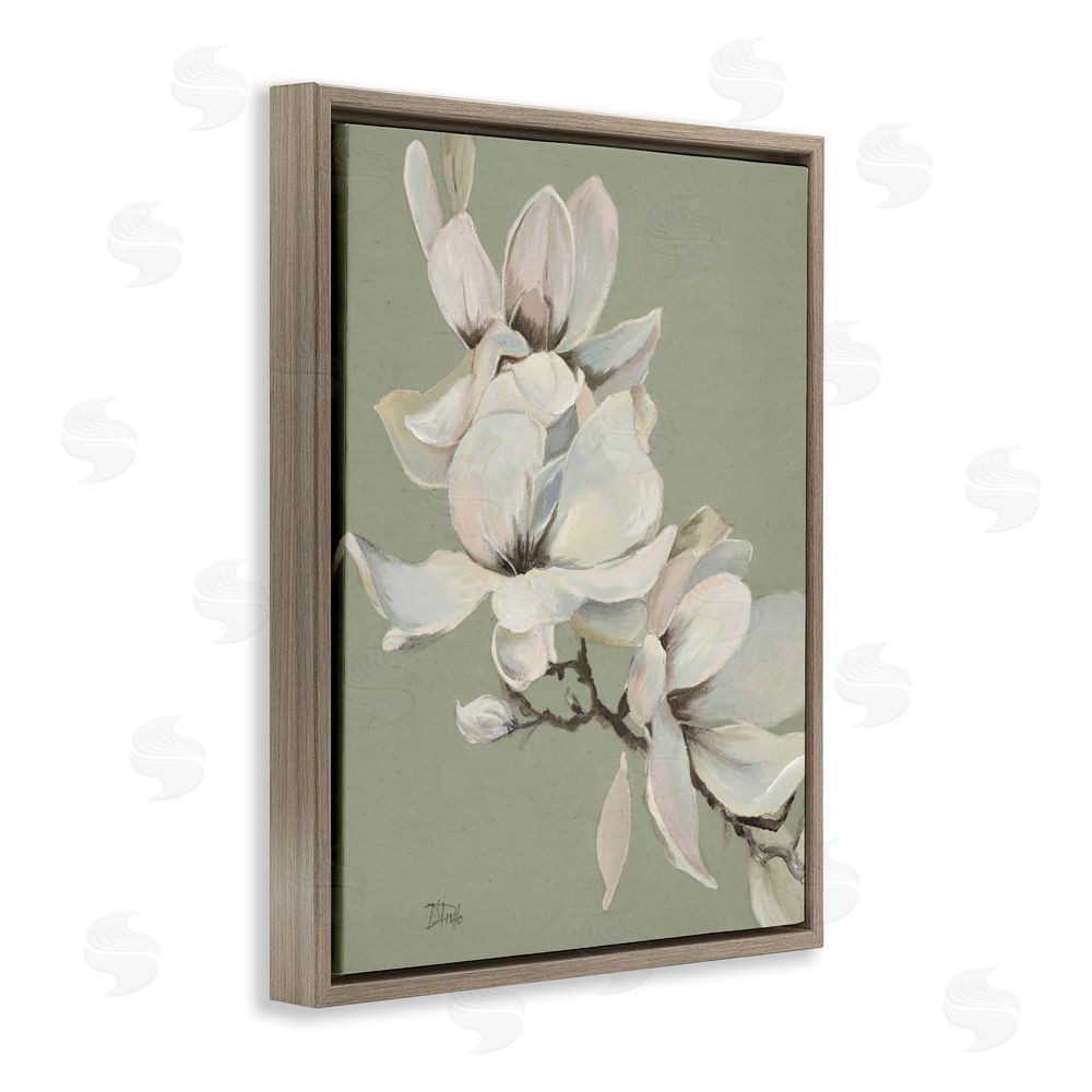 Patricia Pinto Magnolias on Sage Florals Brown Floating Framed Canvas Wall Art