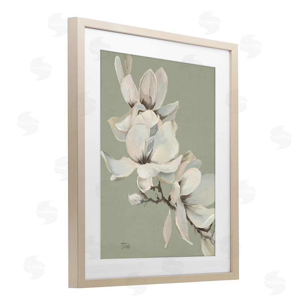 Patricia Pinto Magnolias on Sage Florals Brown Framed Print Under Glass Wall Art