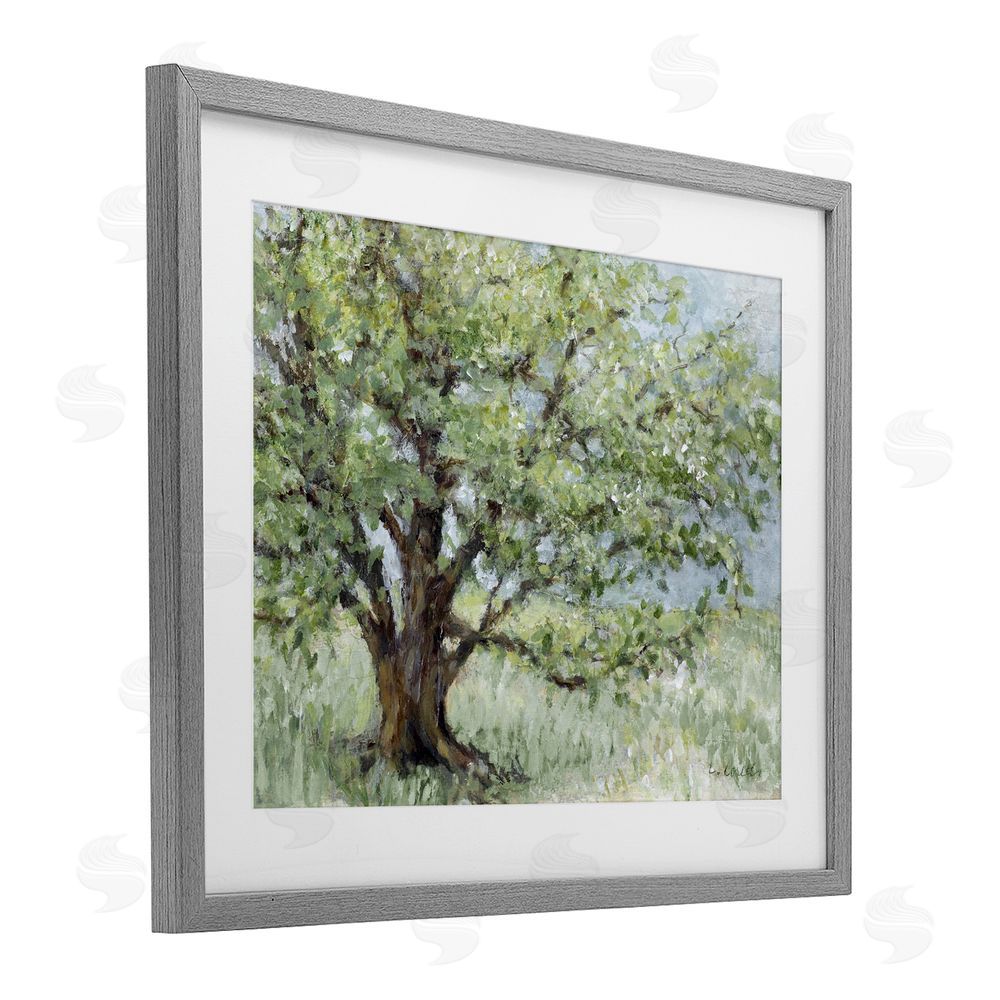 Lanie Loreth Summer Oak Splendor Landscape Gray Framed Print Under Glass with White Mat Wall Art