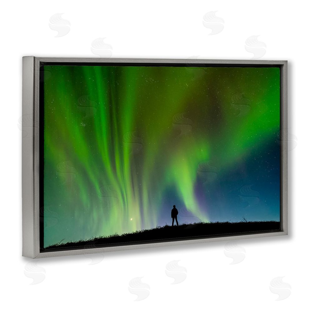 Shelley Carlisle Envelop Northern Lights Silhouette Gray Floating Frame Canvas Wall Art Print