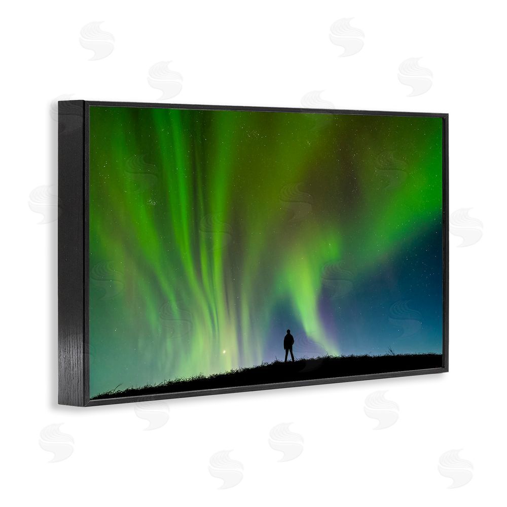 Shelley Carlisle Envelop Northern Lights Silhouette Black Framed Giclee Wall Art Print