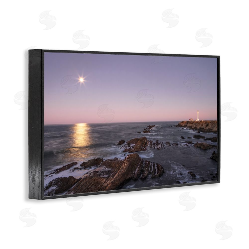 Shelley Carlisle Moon Arena Coastline Black Framed Giclee Wall Art Print