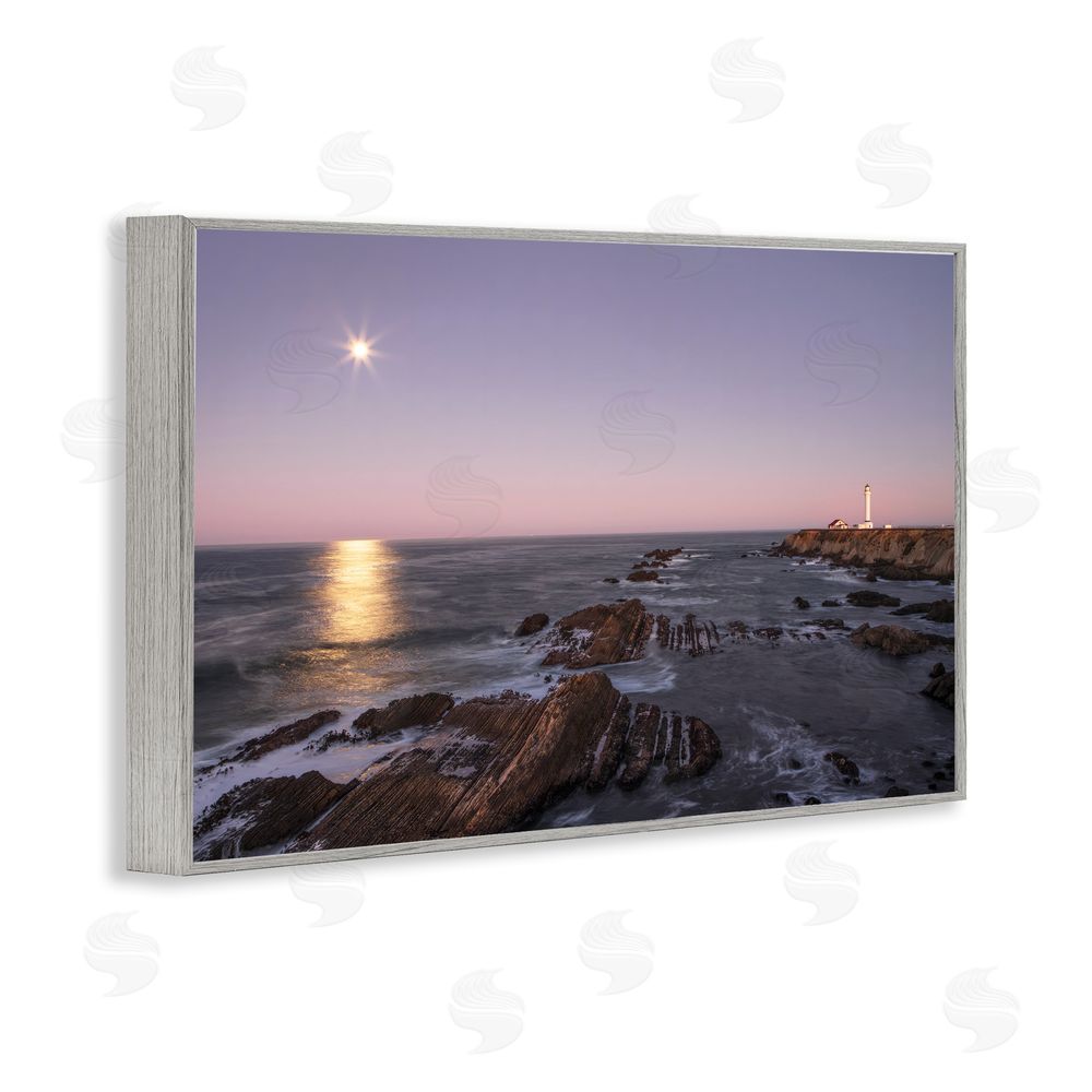 Shelley Carlisle Moon Arena Coastline Gray Framed Giclee Wall Art Print