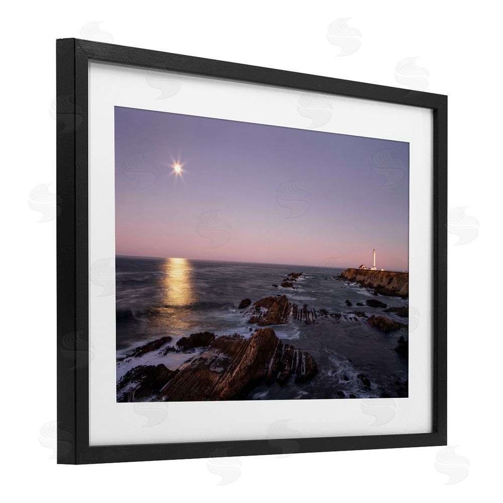 Shelley Carlisle Moon Arena Coastline Black Framed Print Under Glass Wall Art