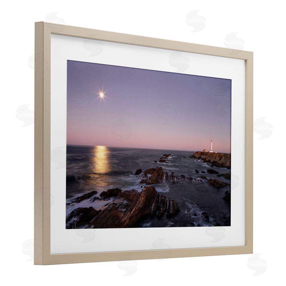 Shelley Carlisle Moon Arena Coastline Brown Framed Print Under Glass Wall Art
