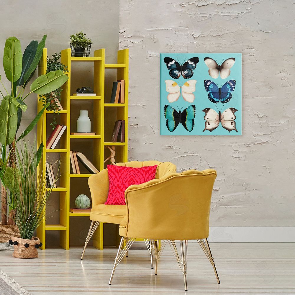 Metka Hiti Six Diverse Butterflies on Turquoise Stretched Canvas Wall Art Print in Room