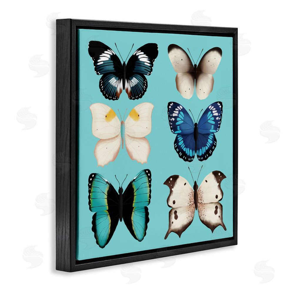 Metka Hiti Six Diverse Butterflies on Turquoise Black Floating Frame Canvas Wall Art Print